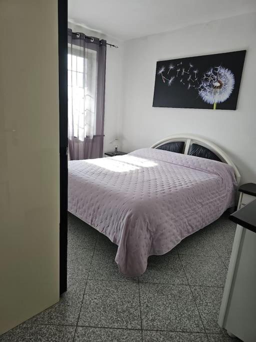 La Casa Della Lavanda Borgo Adorno Exteriér fotografie
