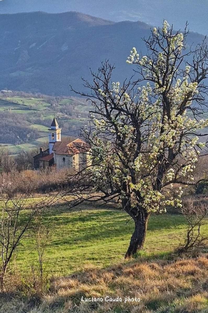 La Casa Della Lavanda Borgo Adorno Exteriér fotografie