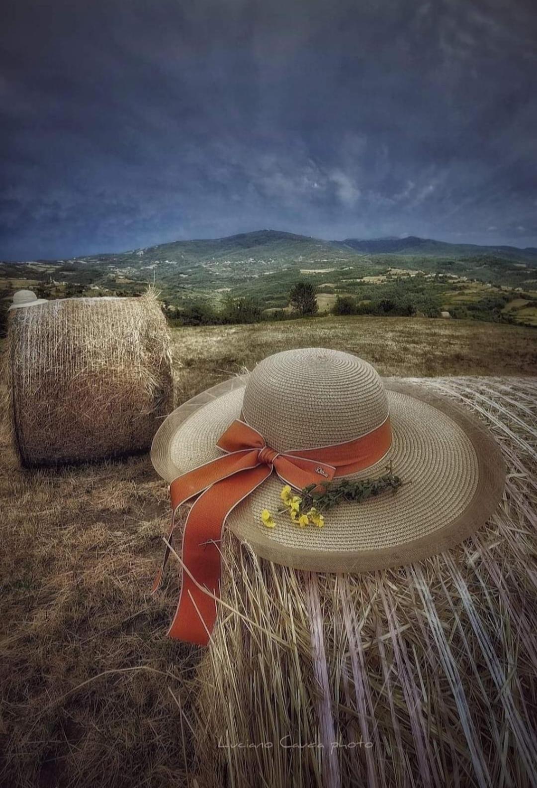 La Casa Della Lavanda Borgo Adorno Exteriér fotografie
